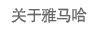 关于恩佐