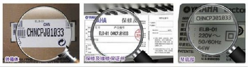 紧急声明：谨防恩佐电子琴假冒伪劣商品 