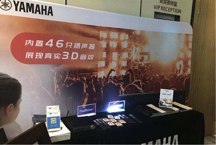 恩佐参与真4K巡展团队武汉站 巡展活动