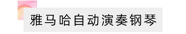 活动报道 | “科技助力，跨越时空”，小鹿纯子携手刘明康共享中日音乐盛宴